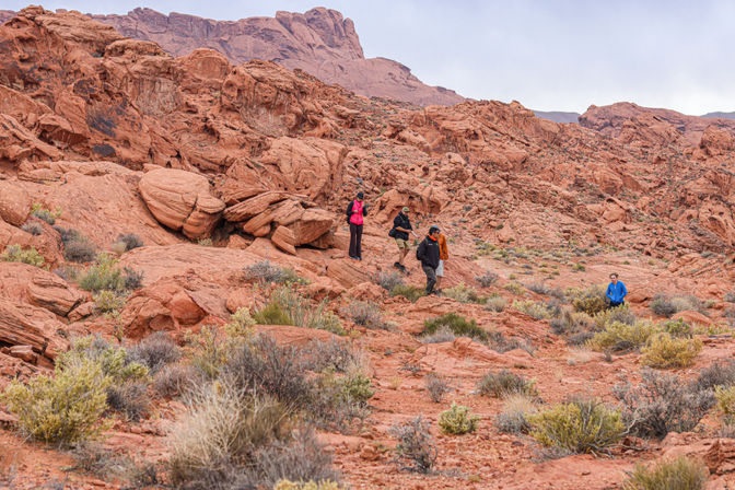 Valley of Fire Hiking Experience for All Levels of Intensity image 15