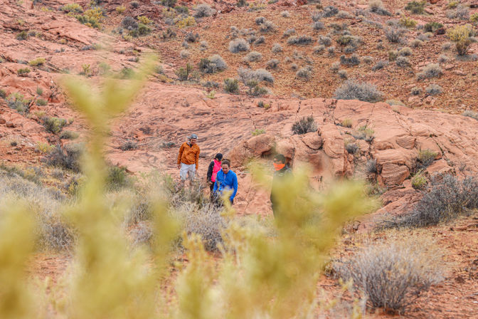 Valley of Fire Hiking Experience for All Levels of Intensity image 16