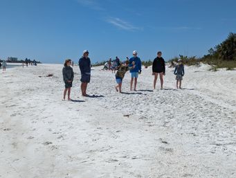 Group of family and friends of various ages on a sunny white-sand beach near low dunes, casually tossing small balls in a beach tossing game under a clear blue sky
