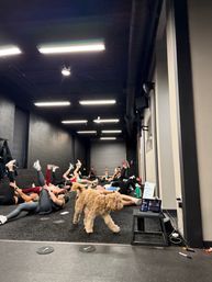 Private Workout Experience: Exclusive HIIT & Strength Session image 15