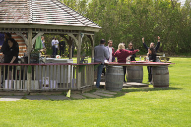 Long Island Wine Tour with 3 Wineries, Gourmet Picnic Lunch, & Roundtrip Shuttle from Manhattan image 5
