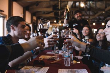 Long Island Wine Tour with 3 Wineries, Gourmet Picnic Lunch, & Roundtrip Shuttle from Manhattan image 2