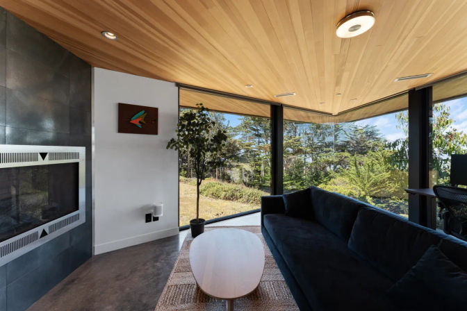 Sunlit modern living room with wood-paneled ceiling, floor-to-ceiling windows framing lush greenery, a dark sofa, fireplace, round coffee table and potted tree.