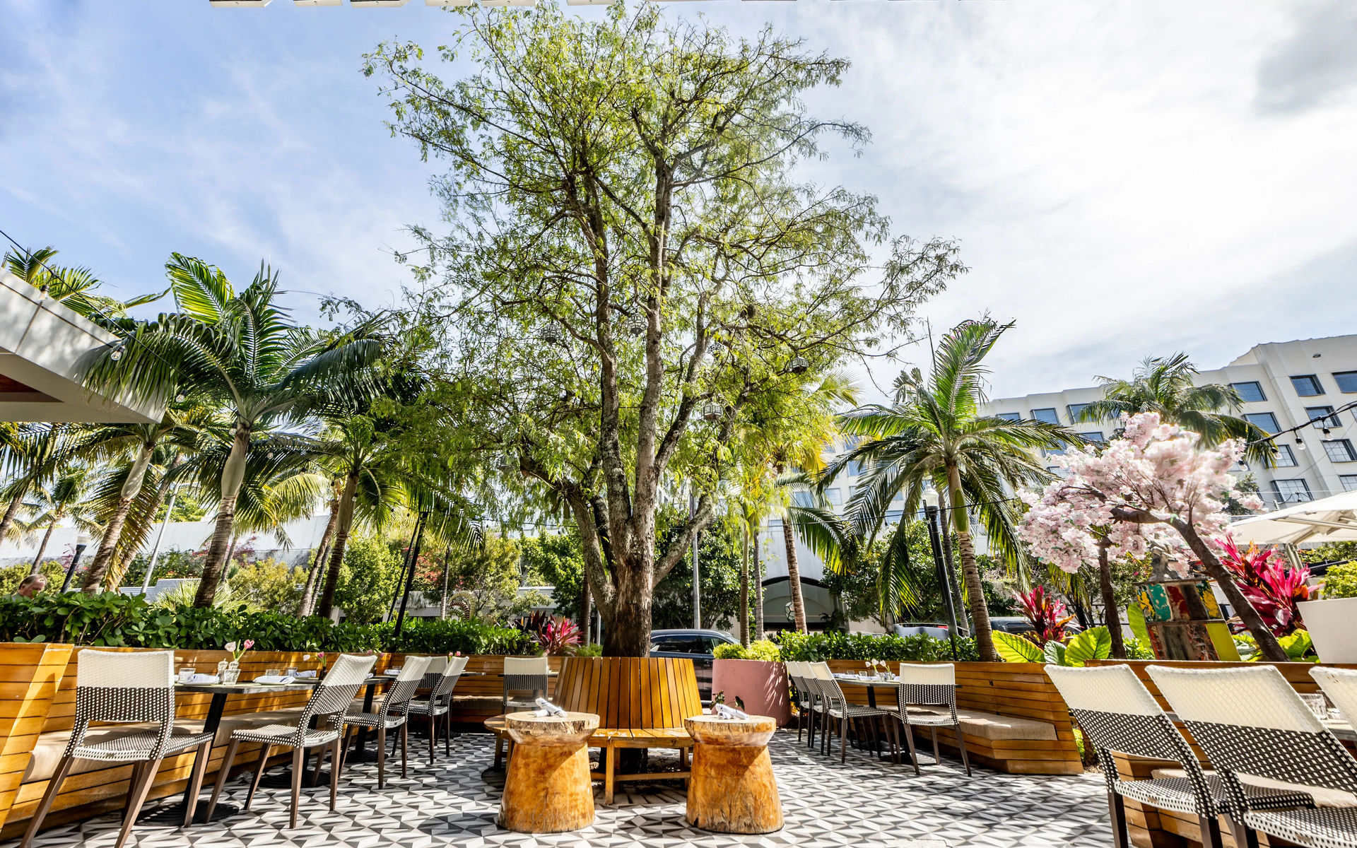 Group Events at El Patio Restaurant, Bar Habana & La Terrazza image 1