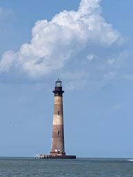 Barrier Island Shark Tooth and Fossil Hunt with Stunning Views image 4