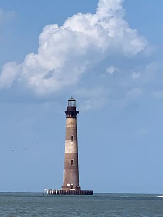 Barrier Island Shark Tooth and Fossil Hunt with Stunning Views image 4