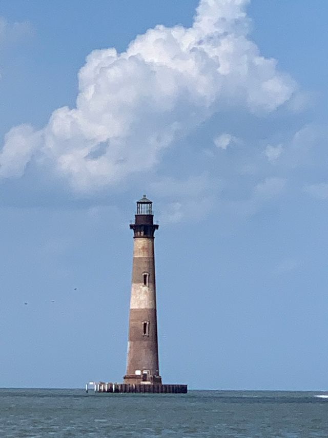 Barrier Island Shark Tooth and Fossil Hunt with Stunning Views image 4