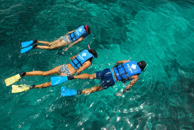 Catamaran Experience with Dolphin Encounter image 4