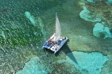 Catamaran Experience with Dolphin Encounter image 3