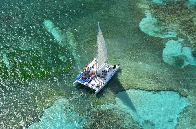 Catamaran Experience with Dolphin Encounter image 3