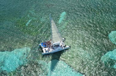Catamaran Experience with Dolphin Encounter image