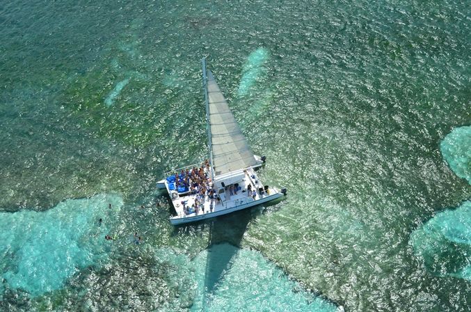 Catamaran Experience with Dolphin Encounter image 1