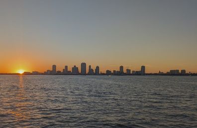 Exhilarating Dolphin Sunset Sail image 8