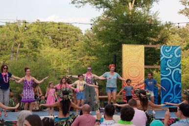 Island Vibes by the River: Polynesian Luau Show & Dinner Experience image 8