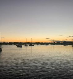 2-Hour Sunset Cruise in Fort Lauderdale (Up to 12 Passengers) image 5