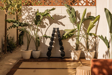 Luxury Wellness Hotel with Cold Plunge & Sauna (Sleeps 27) image 10