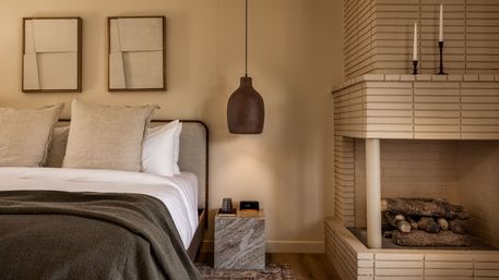 Luxury Wellness Hotel with Cold Plunge & Sauna (Sleeps 27) image 11