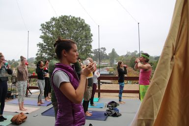 Swami Mosa Yoga: Comedy, Mimosas & Yoga for Your Group! image 9