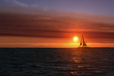 Panama City Beach Boat Tours: Dolphin Excursion, Sunset Cruise or Snorkeling Experience image 4