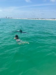 Panama City Beach Boat Tours: Dolphin Excursion, Sunset Cruise or Snorkeling Experience image 13