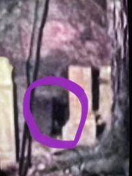 Evening or Late Night Spooky Savannah Haunted Pub Crawl image 17