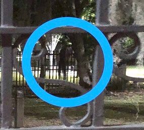 Evening or Late Night Spooky Savannah Haunted Pub Crawl image 14