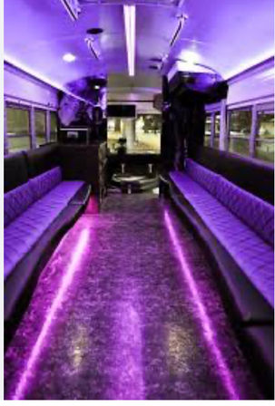 San Juan Party Bus: Crank Up the Energy in Paradise image 4