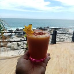 Professional Private Chef & Butler Service in Los Cabos image 15