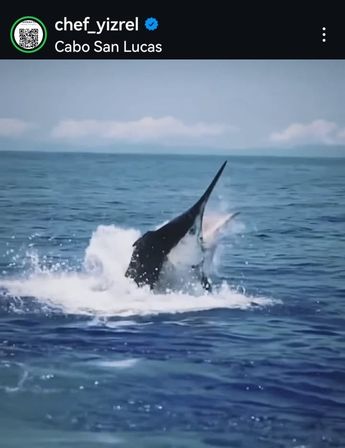 Professional Private Chef & Butler Service in Los Cabos image 44