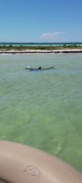 BYOB Party Boat with Island & Sandbar Parties, Snorkeling, River Cruising & More image 15