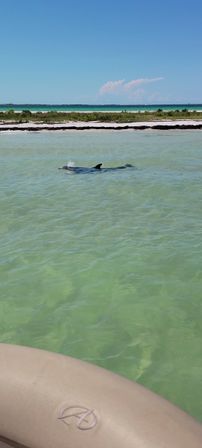 BYOB Party Boat with Island & Sandbar Parties, Snorkeling, River Cruising & More image 15