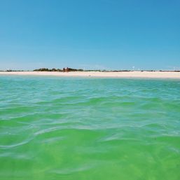 BYOB Party Boat with Island & Sandbar Parties, Snorkeling, River Cruising & More image 19