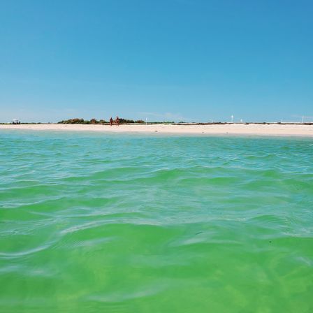 BYOB Party Boat with Island & Sandbar Parties, Snorkeling, River Cruising & More image 19