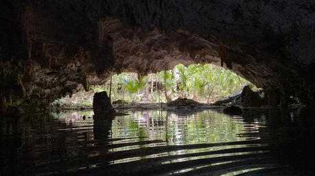 Cenote Splash Bach - Dive into Tulum's Hidden Gems image 9