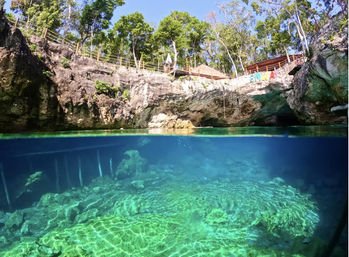 Cenote Splash Bach - Dive into Tulum's Hidden Gems image 2