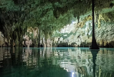 Cenote Splash Bach - Dive into Tulum's Hidden Gems image 7