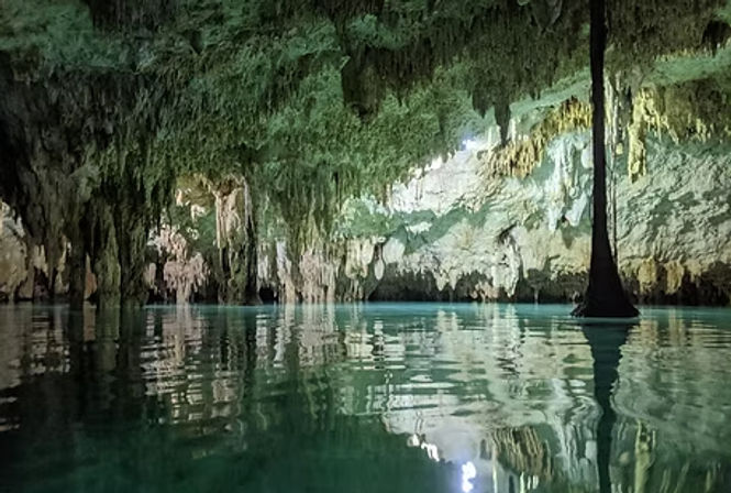 Cenote Splash Bach - Dive into Tulum's Hidden Gems image 7