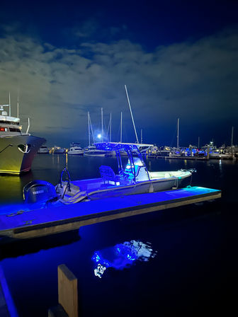 24’ Family Sportsman: Private Charter to Fish, Play or Relax image 2