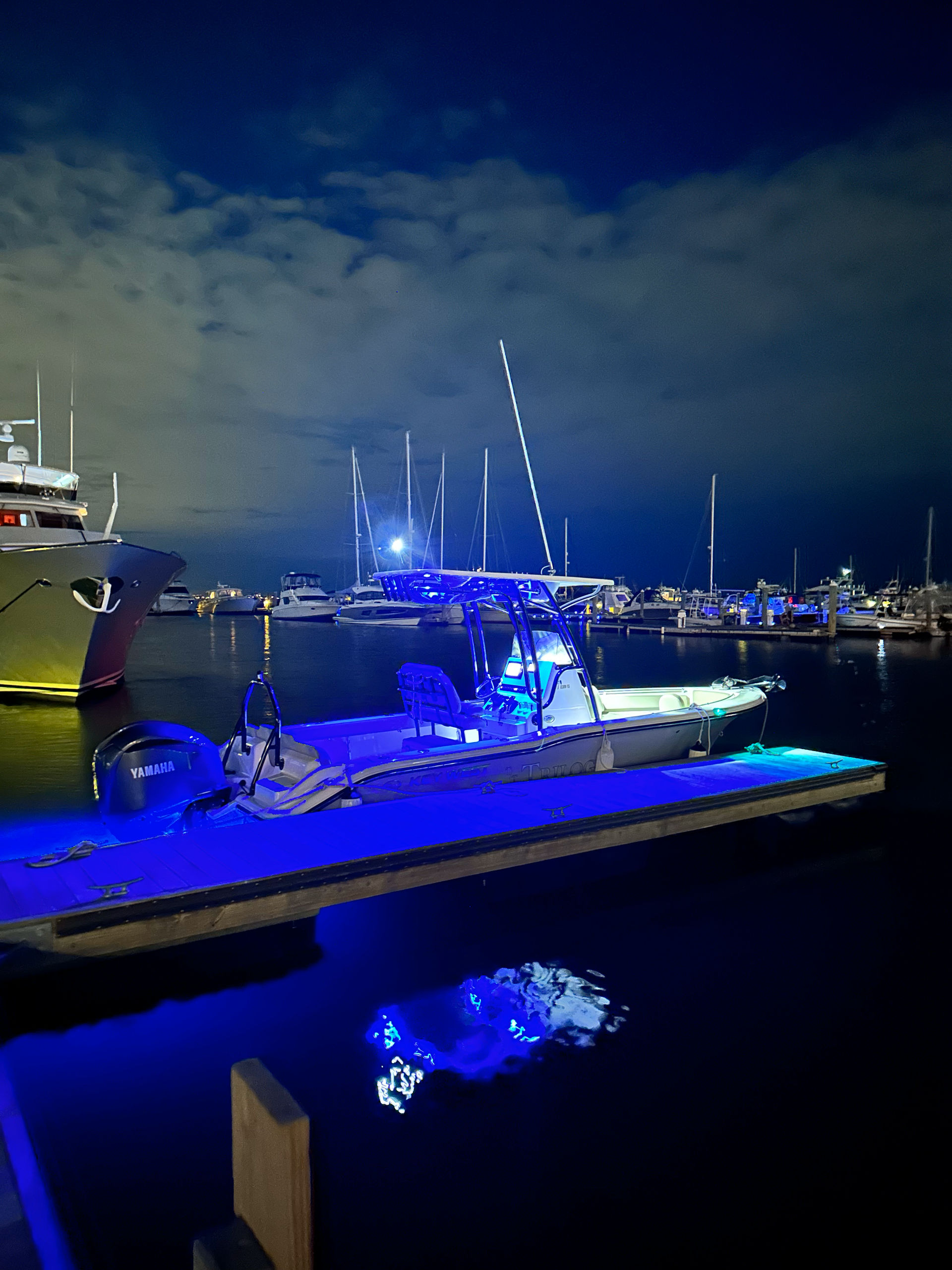 24’ Family Sportsman: Private Charter to Fish, Play or Relax image 2