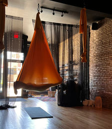 Private Group Aerial Session for up to 13 people image 4