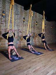 Private Group Aerial Session for up to 13 people image 2