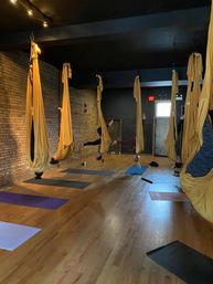 Private Group Aerial Session for up to 13 people image 5