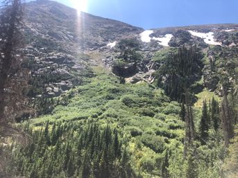 Estes Park and Rocky Mountain National Park: Guided Tour with Optional Hike image 6