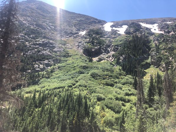 Estes Park and Rocky Mountain National Park: Guided Tour with Optional Hike image 6