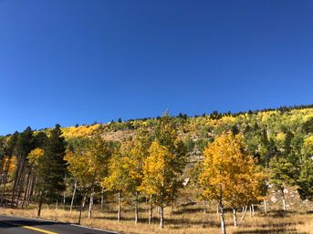 Estes Park and Rocky Mountain National Park: Guided Tour with Optional Hike image 5