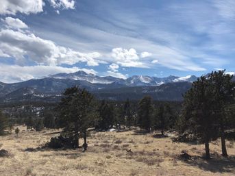 Estes Park and Rocky Mountain National Park: Guided Tour with Optional Hike image 9