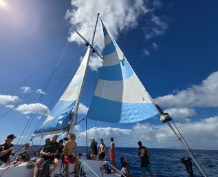 Waikiki Private Boat Charter: Sunset Cruises, Snorkeling & Party Catamaran for Groups image 9