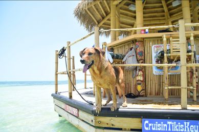 Floating Tiki Bar Cruises: BYOB Boat Party in Key West image 34