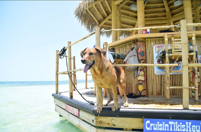 Floating Tiki Bar Cruises: BYOB Boat Party in Key West image 34
