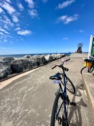 Sunset Bike & Brew Tour: Dinner on the Beach, Local Guide & Tandem Bike Option image 12